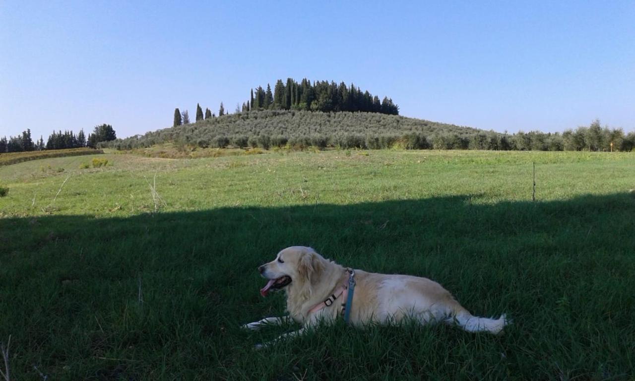 Dolce Cuore Luxe Apartment Chianti Florence Male Romantyczne Mieszkanie San Donato in Poggio エクステリア 写真